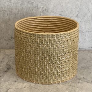 Mustard plant container large