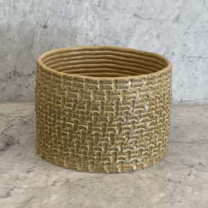 Mustard plant container medium