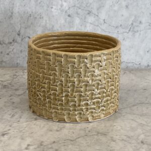 Mustard plant container small