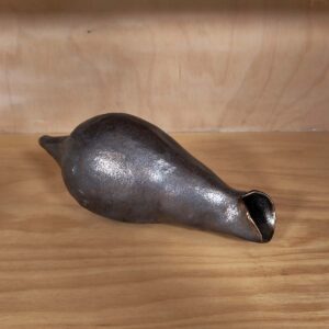 seed pod