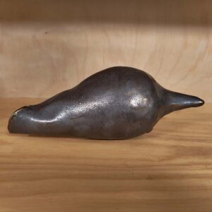 seed pod