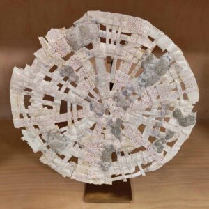 woven disc