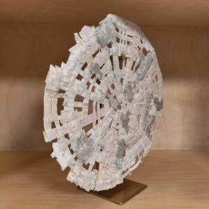 woven disc