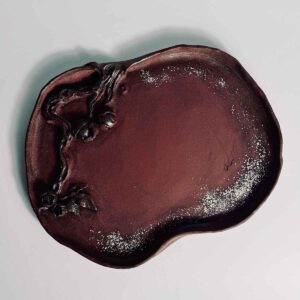 lingzhi tray