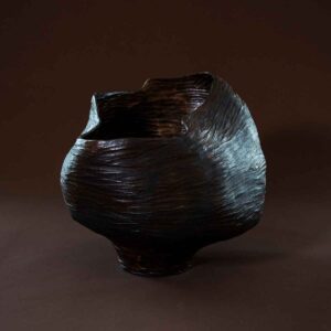 limb 5