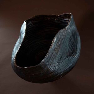 limb 5